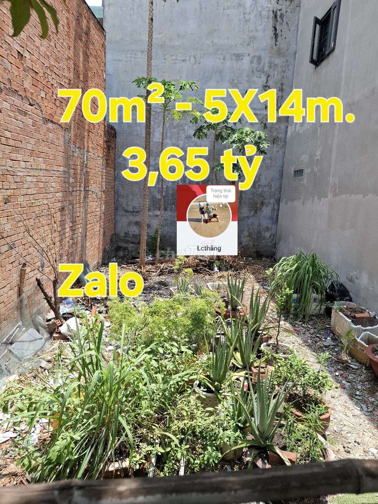 📢LÔ ĐẤT THỔ CƯ 70M²- 5X14M-NGAY CHỢ BÌNH THÀNH, BÌNH HƯNG HÒA 3,65Đ