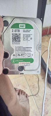 Ổ cứng hdd 2t