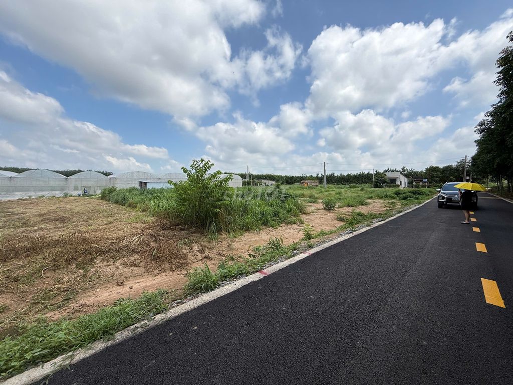 Bán 262m2+100TC mặt tiền nhựa nóng 8m, Sát bên THCS An Linh, giá:480tr. Mua bán đất tại Huyện Phú Giáo Bình Dương được đăng bởi Chí Thanh land hình 2