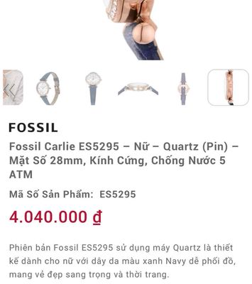 Đồng hồ nữ hiệu Fossil. Mua bán Đồng hồ tại Quận 8 Tp Hồ Chí Minh được đăng bởi Minh Thái