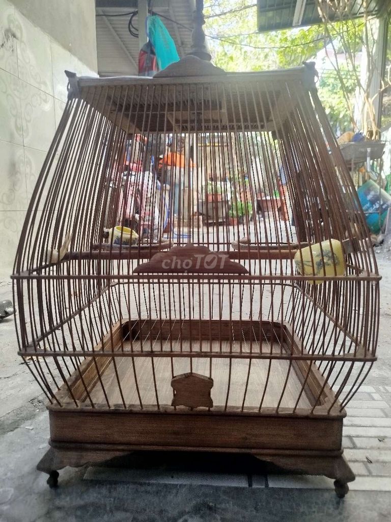 Lồng sin trẻ đấu. Mua bán Phụ kiện, Thức ăn, Dịch vụ tại Quận Thanh Khê Đà Nẵng được đăng bởi tan hình 1