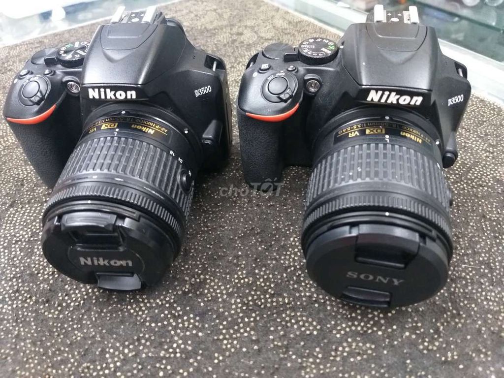 Nikon d3500 full .đẹp