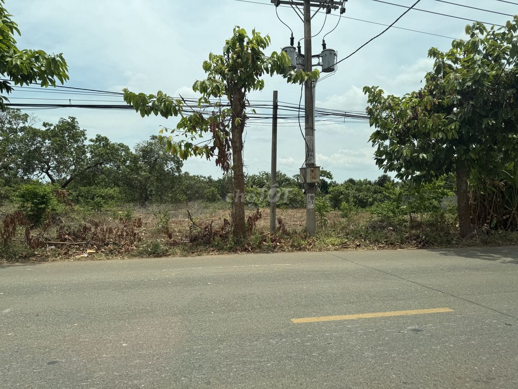 Đất thổ cư. ĐT: 20000m2, đất trồng cây khu dân cư, đường Lê Hồng Phong
