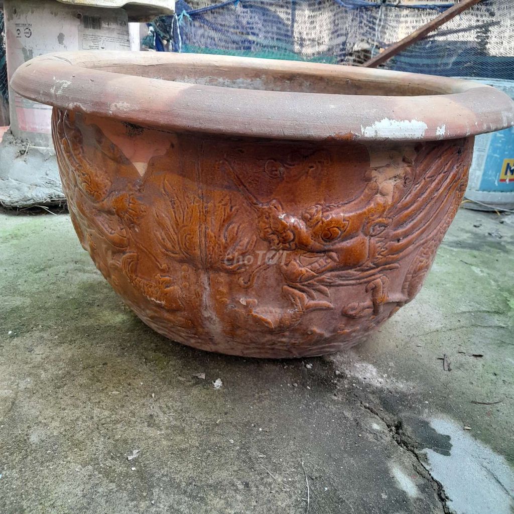 Minh có cái chậu trồng cây sưa cằn bán. Mua bán Cây cảnh, đồ trang trí tại Quận 7 Tp Hồ Chí Minh được đăng bởi duy thanh hình 1
