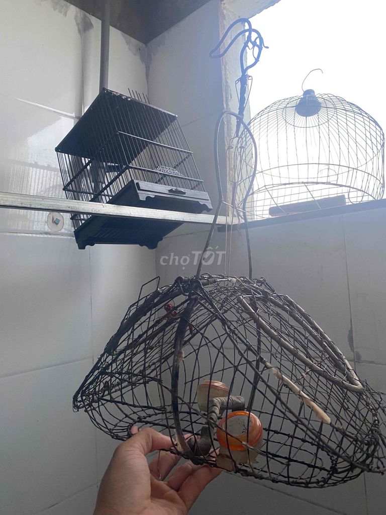 3 Lồng chim. Mua bán Phụ kiện, Thức ăn, Dịch vụ tại Quận 7 Tp Hồ Chí Minh được đăng bởi vĩ hình 1
