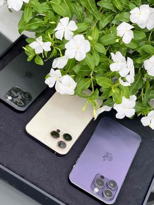 iPhone 14 Pro Max ✅ BAO ĐẬU N.XẤU ✅. Mua bán Điện thoại tại Thành phố Thủ Dầu Một Bình Dương được đăng bởi Anh Đăng Mobile
