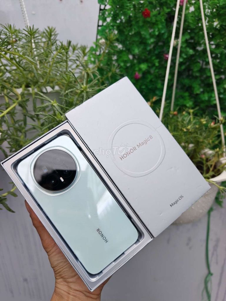 Honor Magic 8 16/512GB fullbox keng Xanh nhạt. Mua bán Điện thoại tại Quận Bình Tân Tp Hồ Chí Minh được đăng bởi Thái Bình Dương hình 1