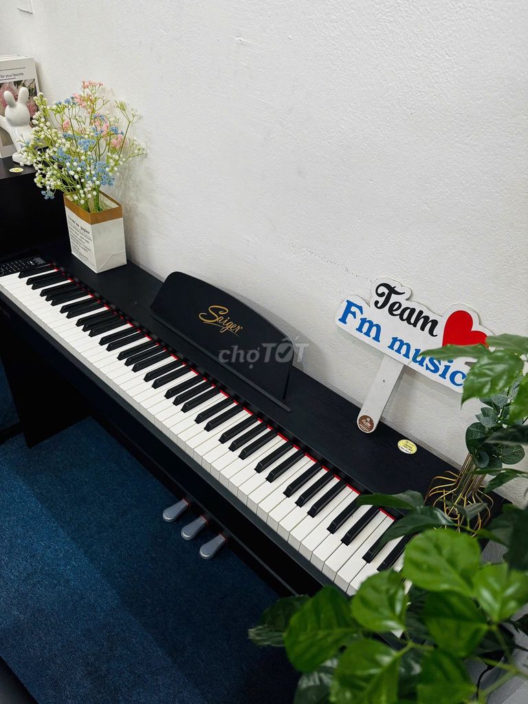 Đàn piano điện Saiger SDP-3618. Mua bán Nhạc cụ tại Quận Thanh Khê Đà Nẵng được đăng bởi Fm Music hình 1