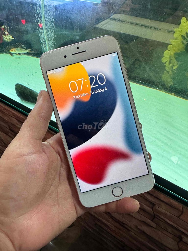 iPhone 7 Plus qt 32gbVàng hồng rin gl. Mua bán Điện thoại tại Quận Tân Phú Tp Hồ Chí Minh được đăng bởi thanh hình 1