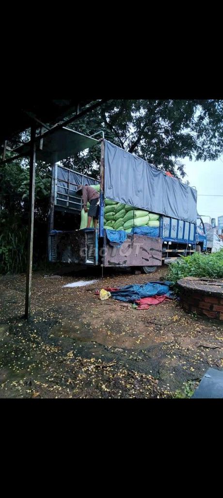 Xe đẹp. Mua bán Xe tải, xe ben tại Huyện Phù Mỹ Bình Định được đăng bởi lê minh thương hình 2