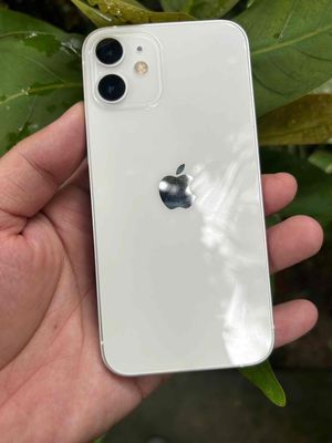 IPHONE QUỐC TẾ 12MINI TRẮNG FULL 128G 2 SIM. Mua bán Điện thoại tại Thành phố Sa Đéc Đồng Tháp được đăng bởi lê văn đặng lâm