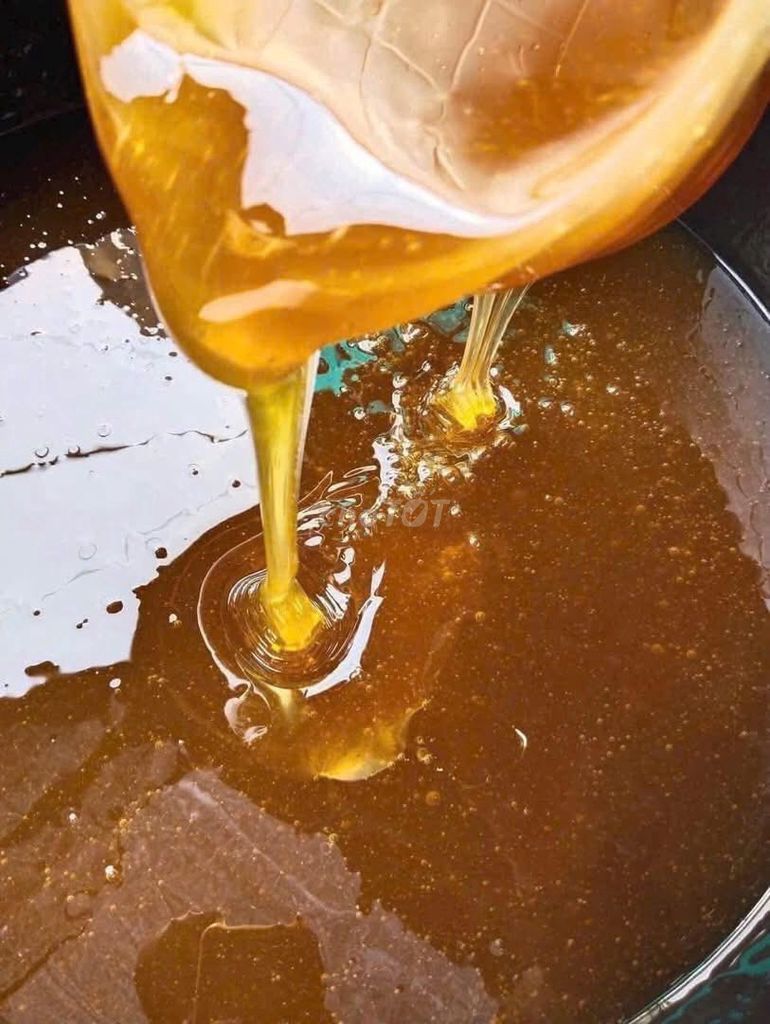 Mật ong rừng nguyên chất - Hàng hiếm chuẩn rừng. Mua bán Đồ ăn, thực phẩm và các loại khác tại Huyện Thanh Trì Hà Nội được đăng bởi Mật ong Xịn hình 1