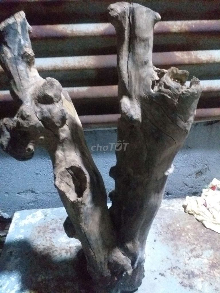 Cần để lại khúc gỗ như hình . Giá 100k