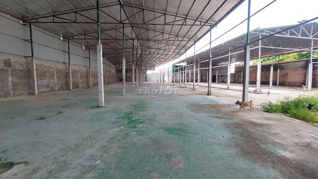 Xưởng kho 2000m2, Minh Cường, cont 20ft đỗ