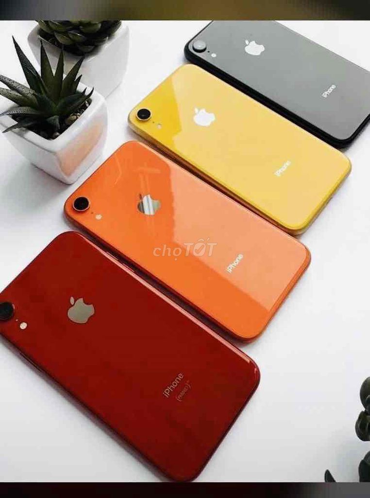 iPhone XR 64GB Máy Zin, Không Báo Giá Ảo. Mua bán Điện thoại tại Quận Cầu Giấy Hà Nội được đăng bởi CỬA HÀNG TP MOBILE IPHONE CHÍNH HÃNG GIÁ TỐT HN hình 1