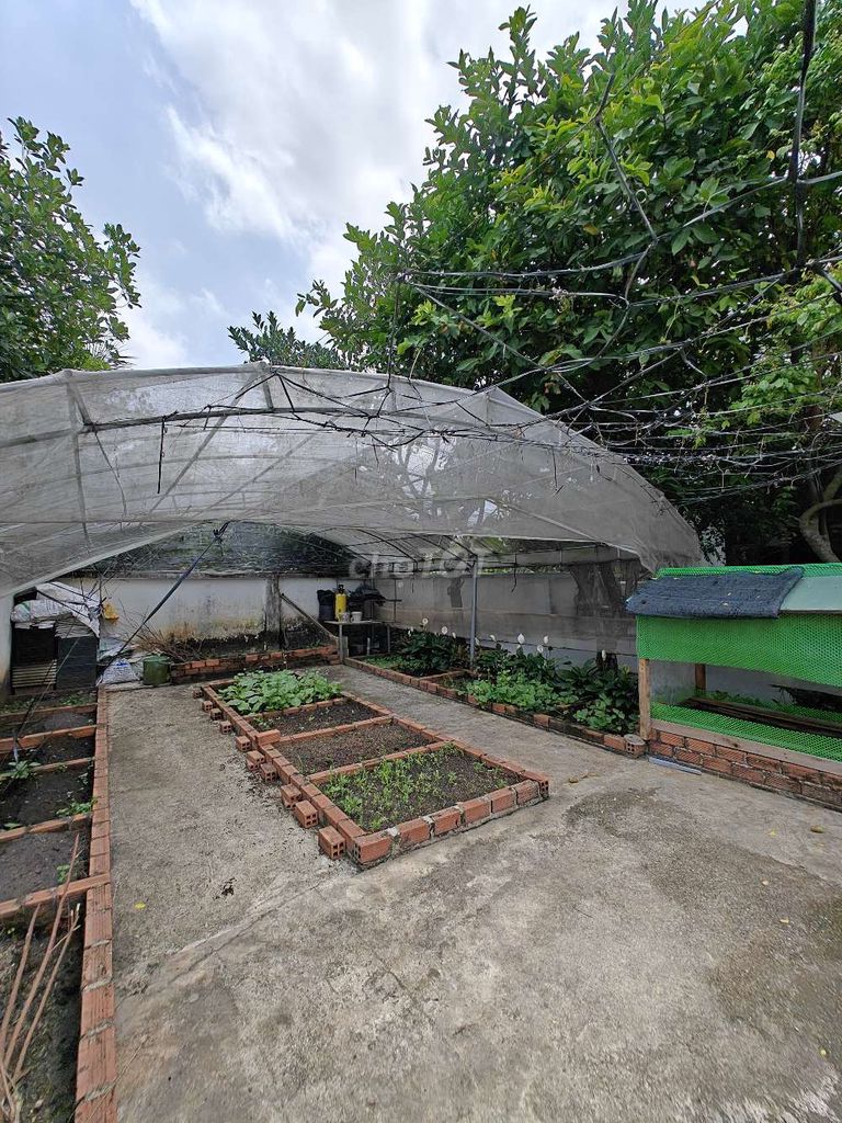biệt thự vườn 600m2, đầy đủ nội thất, hồ bơi, 5 phòng ngủ,Bình Dương. Mua bán nhà ở tại Thành phố Thuận An Bình Dương được đăng bởi Nguyễn Đặng Thảo Nguyên hình 5