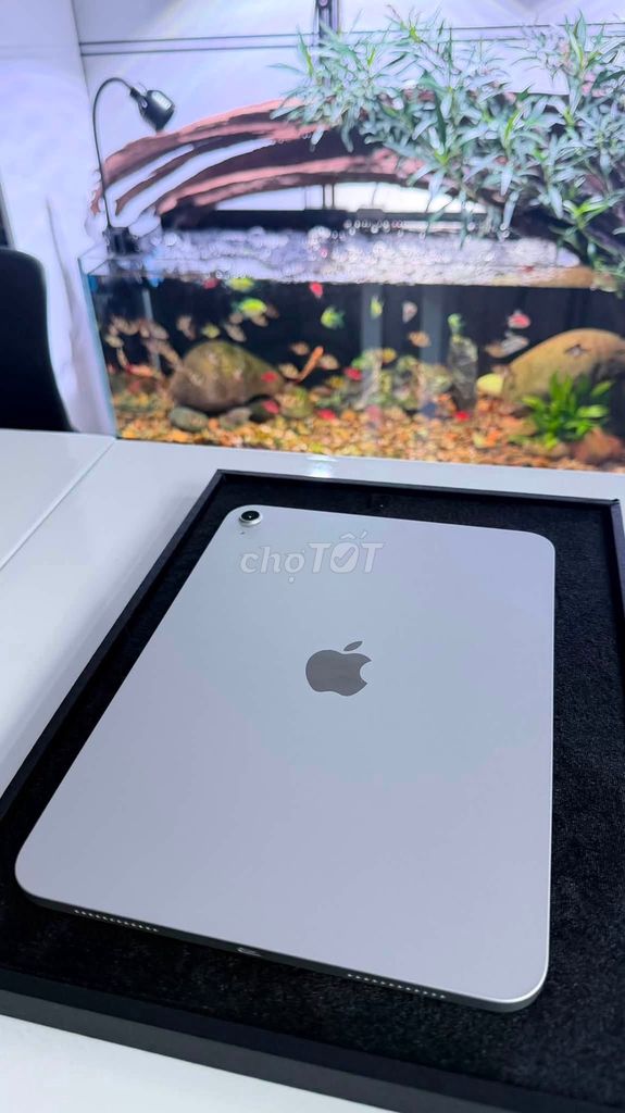 Apple iPad Gen 11 256GB Bạc. Mua bán Máy tính bảng tại Quận 10 Tp Hồ Chí Minh được đăng bởi Hội Đồ Điện Tử hình 1
