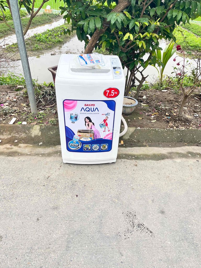 thanh lý máy giặt Sanyo loại 7kg