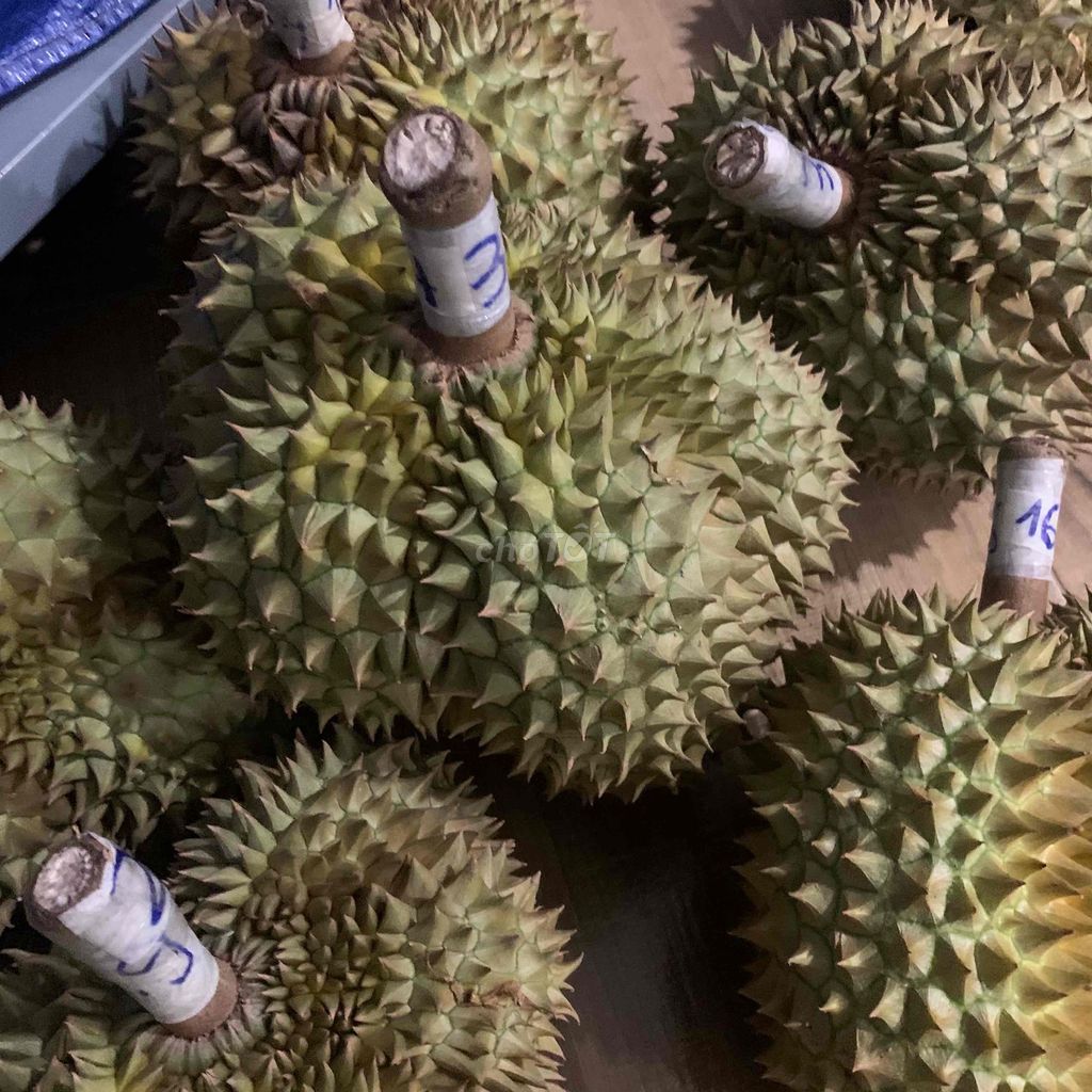 Sầu riêng Monthong Thái Lan. Mua bán Đồ ăn, thực phẩm và các loại khác tại Huyện Bình Chánh Tp Hồ Chí Minh được đăng bởi Trần Yến Nhi hình 1