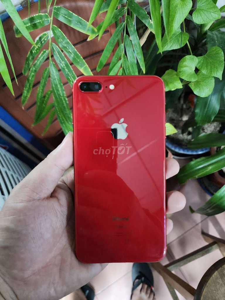  iPhone 8 Plus 64GB Đỏ . Mua bán Điện thoại tại Thành phố Nam Định Nam Định được đăng bởi Thắng Nguyễn hình 1