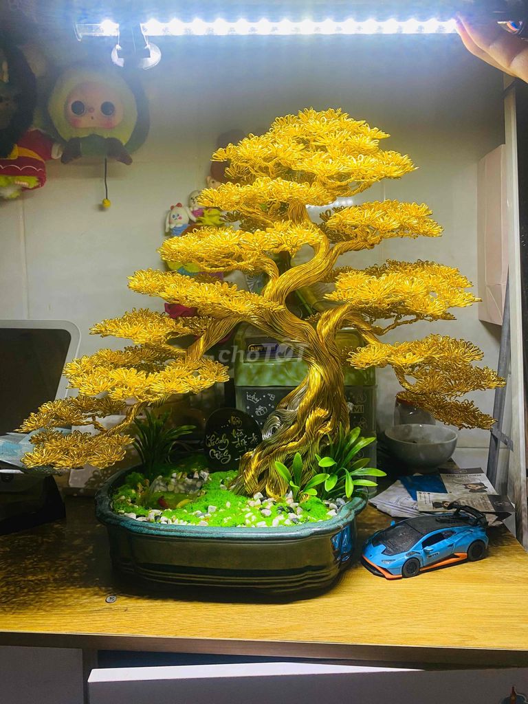 Cây cảnh bonsai dây nhôm màu vàng. Mua bán Cây cảnh, đồ trang trí tại Quận Tân Bình Tp Hồ Chí Minh được đăng bởi Trung Hải hình 1