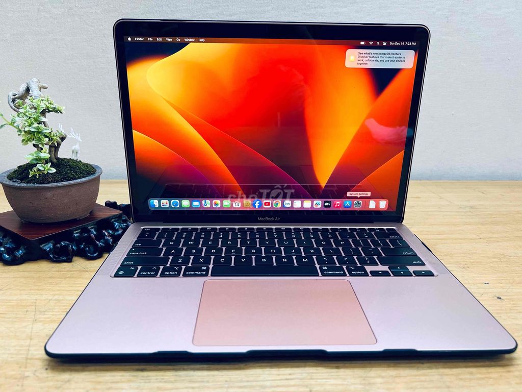 Air M1 - 8G| SSD 256G| Màu Gold Rose | Máy đẹp. Mua bán Laptop tại Thành phố Thủ Dầu Một Bình Dương được đăng bởi Huỳnh Thắng  hình 1
