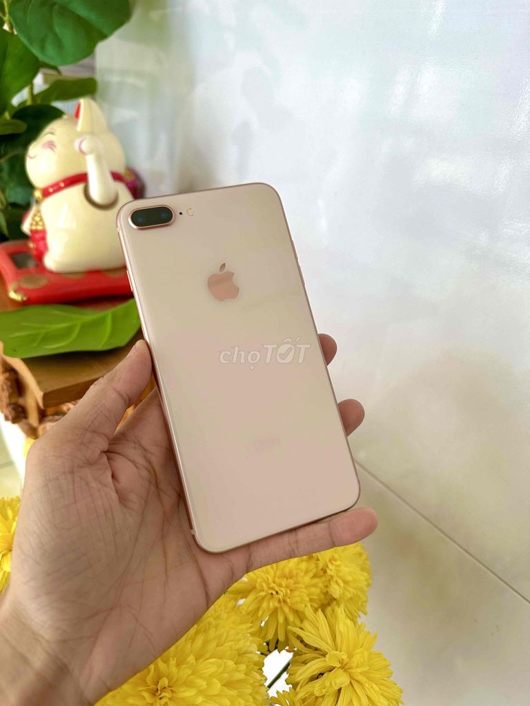 Apple iPhone 8 Plus 128GB Vàng hồng. Mua bán Điện thoại tại Thành phố Long Xuyên An Giang được đăng bởi phong LX  hình 1