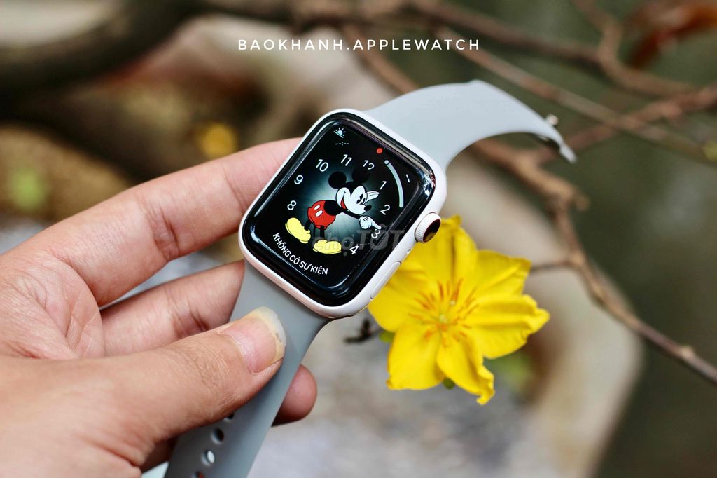 apple watch seri 5 vỏ gốm