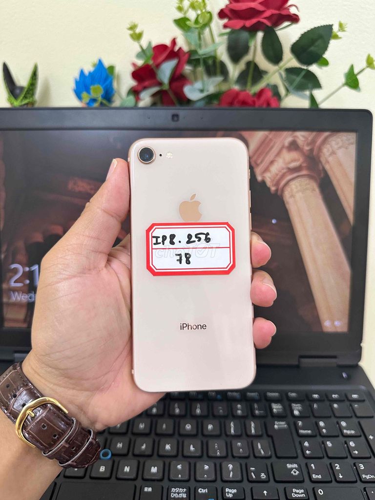 IPhone 8 256Gb. Mua bán Điện thoại tại Thành phố Cà Mau Cà Mau được đăng bởi Thái Hoàng Vũ hình 1