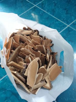 nấm linh chi. Mua bán Đồ ăn, thực phẩm và các loại khác tại Quận Tân Phú Tp Hồ Chí Minh được đăng bởi bi