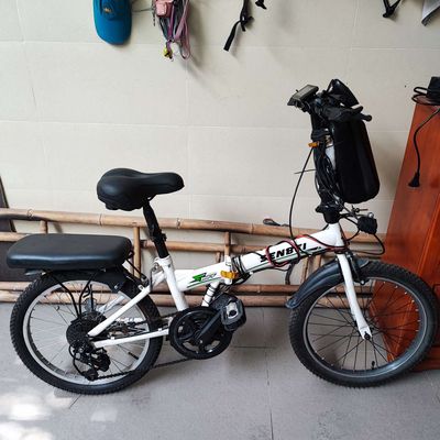 Xe đạp điện động cơ baphang 750w- Pin 13ah