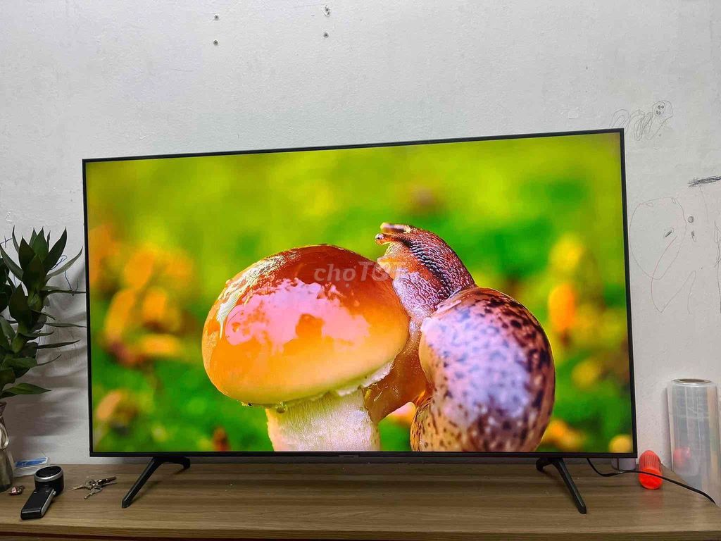 Tivi Samsung 55 inch 4K Smart TV. Mua bán Tivi, Âm thanh tại Quận Long Biên Hà Nội được đăng bởi Minh Vy hình 1