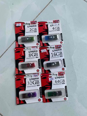 USB KINGTON 2,4,8,16,32,64 GB