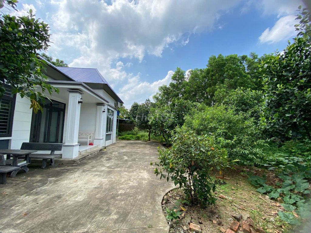 Cho thuê nhà vườn 1500m2 tại Phú Hữu xã Minh Phú - Sóc Sơn
