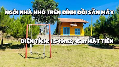 Nhà vườn nghỉ dưỡng view săn mây đồi Bát Úp-TP.Bảo Lộc 1549m2 chỉ 2.4t. Mua bán nhà ở tại Thành phố Bảo Lộc Lâm Đồng được đăng bởi Kim Ngân BDS Bảo Lộc
