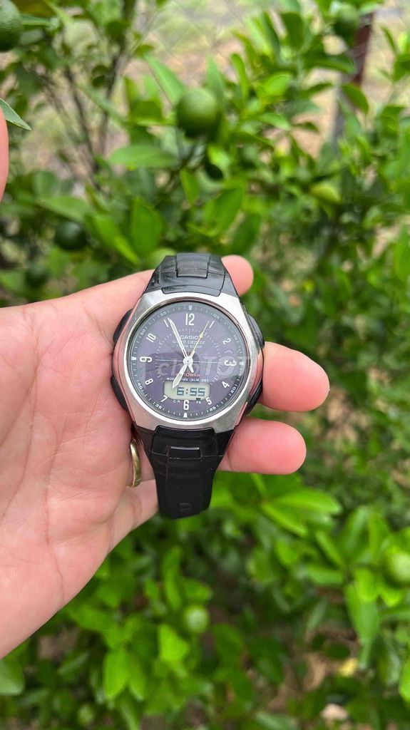 Casio WVA-430J Năng Lượng