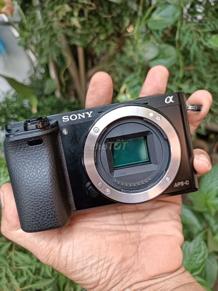 Máy ảnh Sony a6000 Đen + kit 16-50. Mua bán Máy ảnh, Máy quay tại Thành phố Trà Vinh Trà Vinh được đăng bởi Van Hoa hình 1