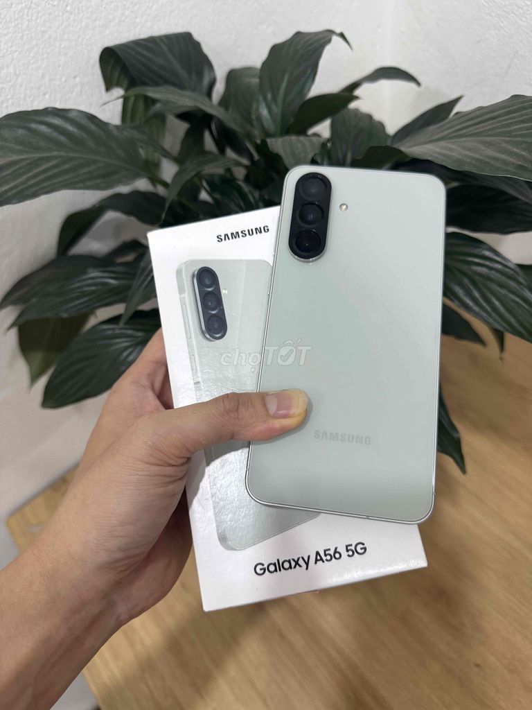 Samsung Galaxy A56 8GB/128GB đẹp 100% CHÍNH HÃNG. Mua bán Điện thoại tại Quận Hoàng Mai Hà Nội được đăng bởi Gia Vinh hình 1