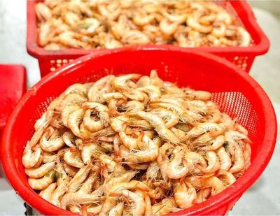 Tôm khô cà mau. Mua bán Đồ ăn, thực phẩm và các loại khác tại Quận Bình Tân Tp Hồ Chí Minh được đăng bởi Nguyễn Nam