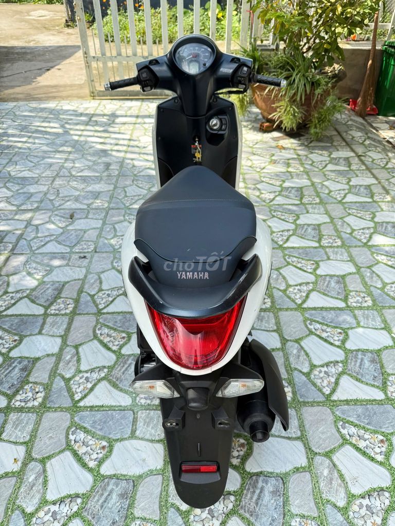 Janus 2018. Mua bán Xe máy tại Thành phố Bến Tre Bến Tre được đăng bởi Đỗ nhân nghĩa hình 3