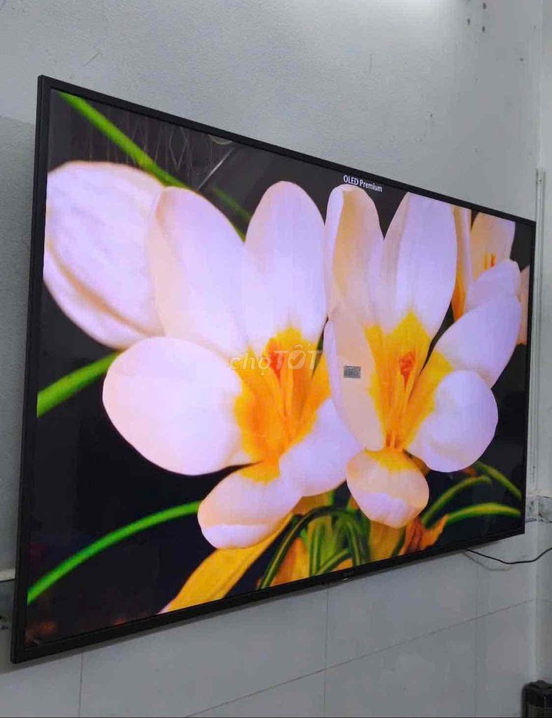 Trả nhà đi thuê phòng nhỏ bán lg 55in 4k zin đẹp