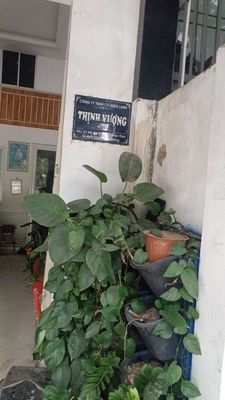 công ty tnhh có đien lạnh thỉnh vượng logo