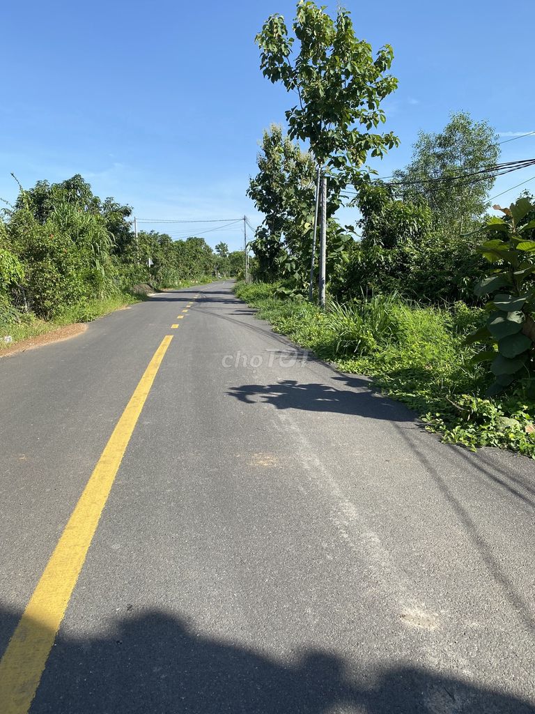 Rẫy xoài bưởi 5ha phú vinh định quán. Cho thuê đất tại Huyện Định Quán Đồng Nai được đăng bởi Ms Candy hình 1