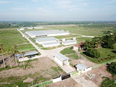 /viec-lam-huyen-duong-minh-chau-tay-ninh/123431343.htm#px=SR-stickyad-[PO-2][PL-top]?i=0