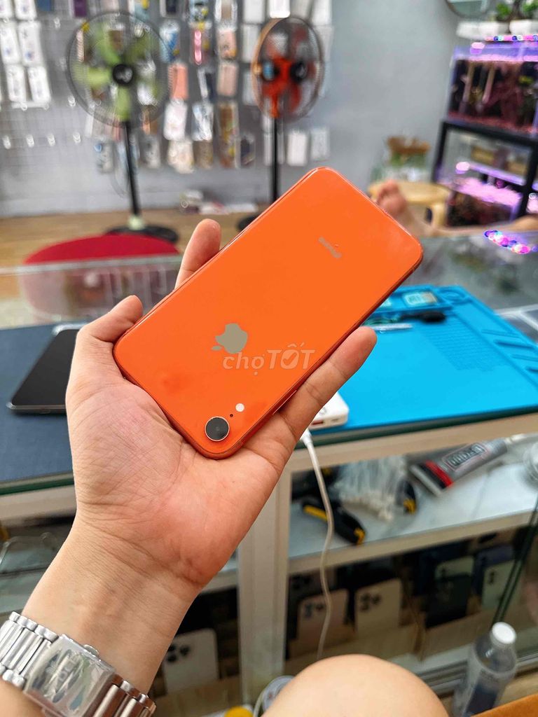 Iphone XR QuốcTế full zin nguyên bản 100% ngon 🍀. Mua bán Điện thoại tại Quận Thanh Khê Đà Nẵng được đăng bởi Hoàng Apple Iphone sỉ giá rẻ 273 Nguyễn Hoàng Đà Nẵng hình 4