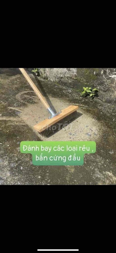 😱 CHỔI SẮT chà rêu ĐA NĂNG