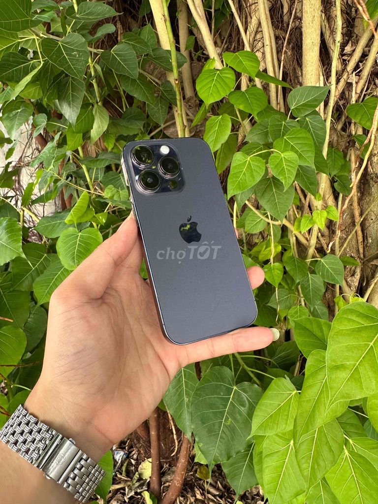 Apple iPhone 14 Pro 128GB Tím Đã sử dụng. Mua bán Điện thoại tại Thành phố Vũng Tàu Bà Rịa - Vũng Tàu được đăng bởi BINHHYK  hình 1