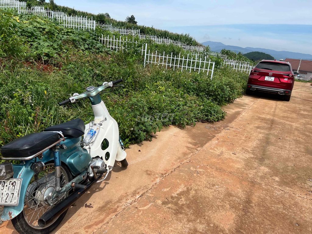 Xe cup lên full 110, 4 số, chất xe ổn. Mua bán Xe máy tại Huyện Lâm Hà Lâm Đồng được đăng bởi Trường Thiên hình 3