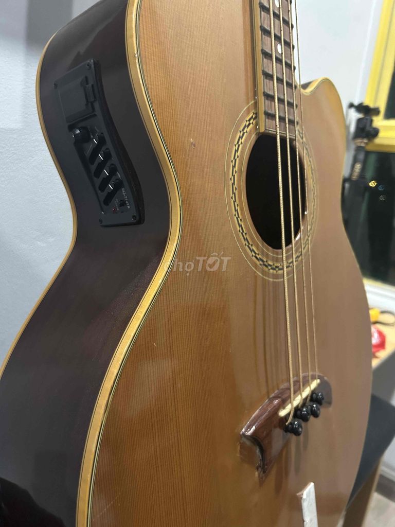Guitar Bass Thùng