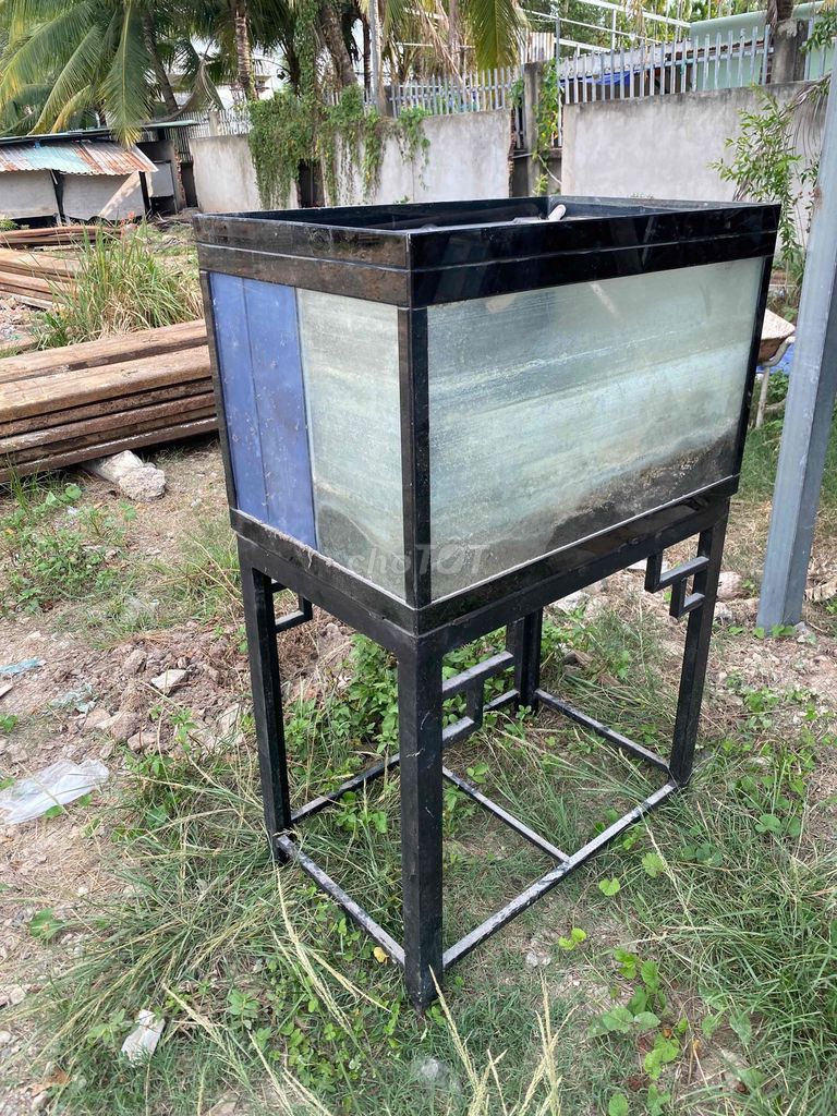 Bể cá Kính, Kim loại Đen. Mua bán Phụ kiện, Thức ăn, Dịch vụ tại Quận 12 Tp Hồ Chí Minh được đăng bởi đoàn hoi  hình 1